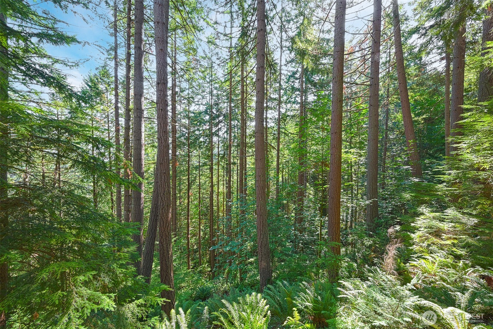 14 Gooseberry Circle