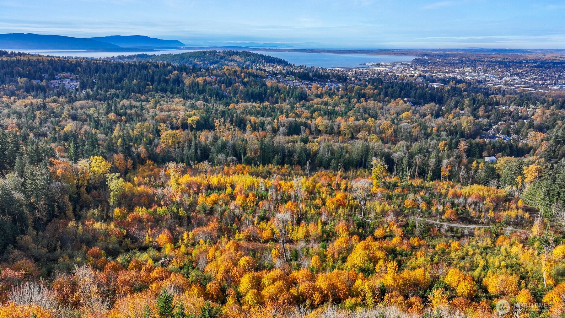 1120 Birch Falls Drive