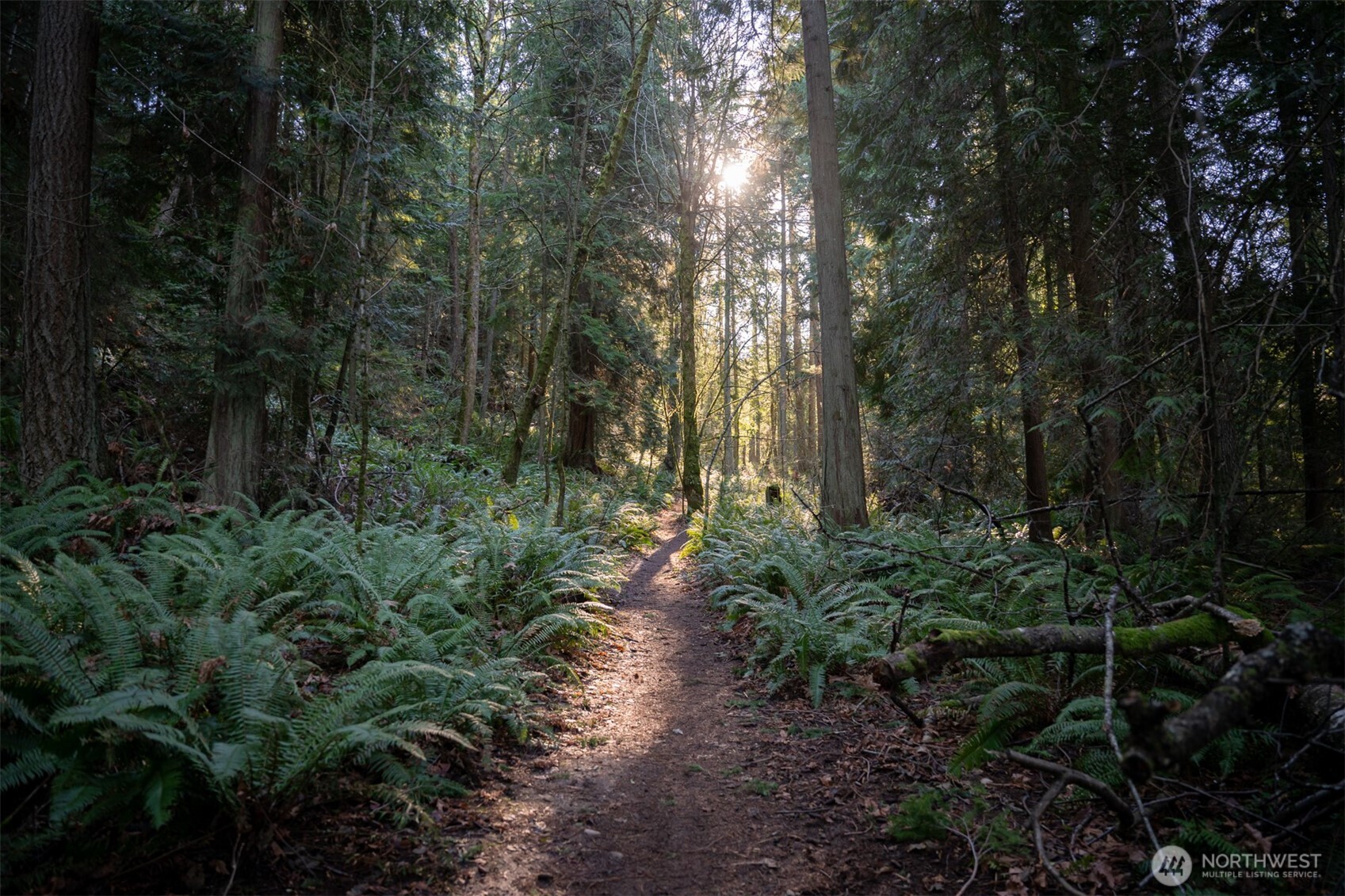 1120 Birch Falls Drive