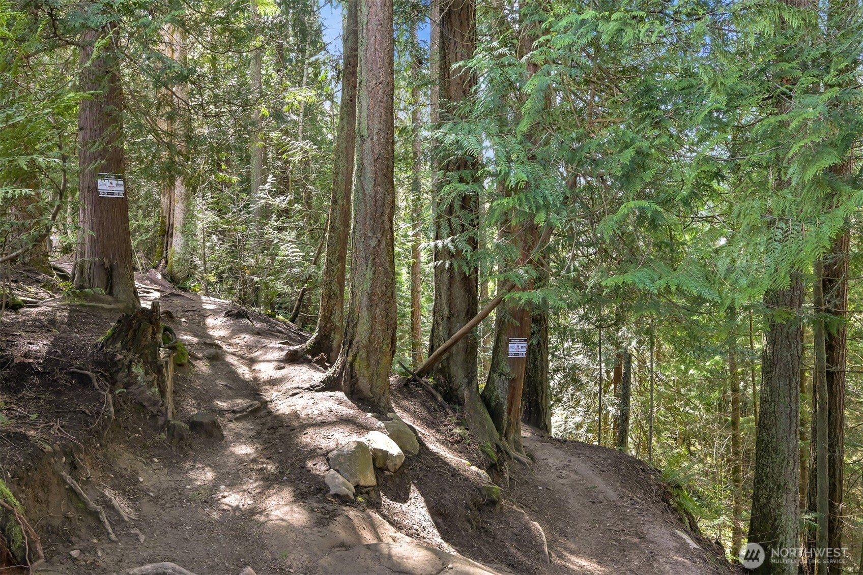 1120 Birch Falls Drive