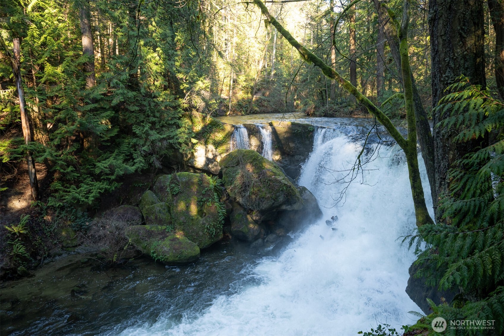 1120 Birch Falls Drive