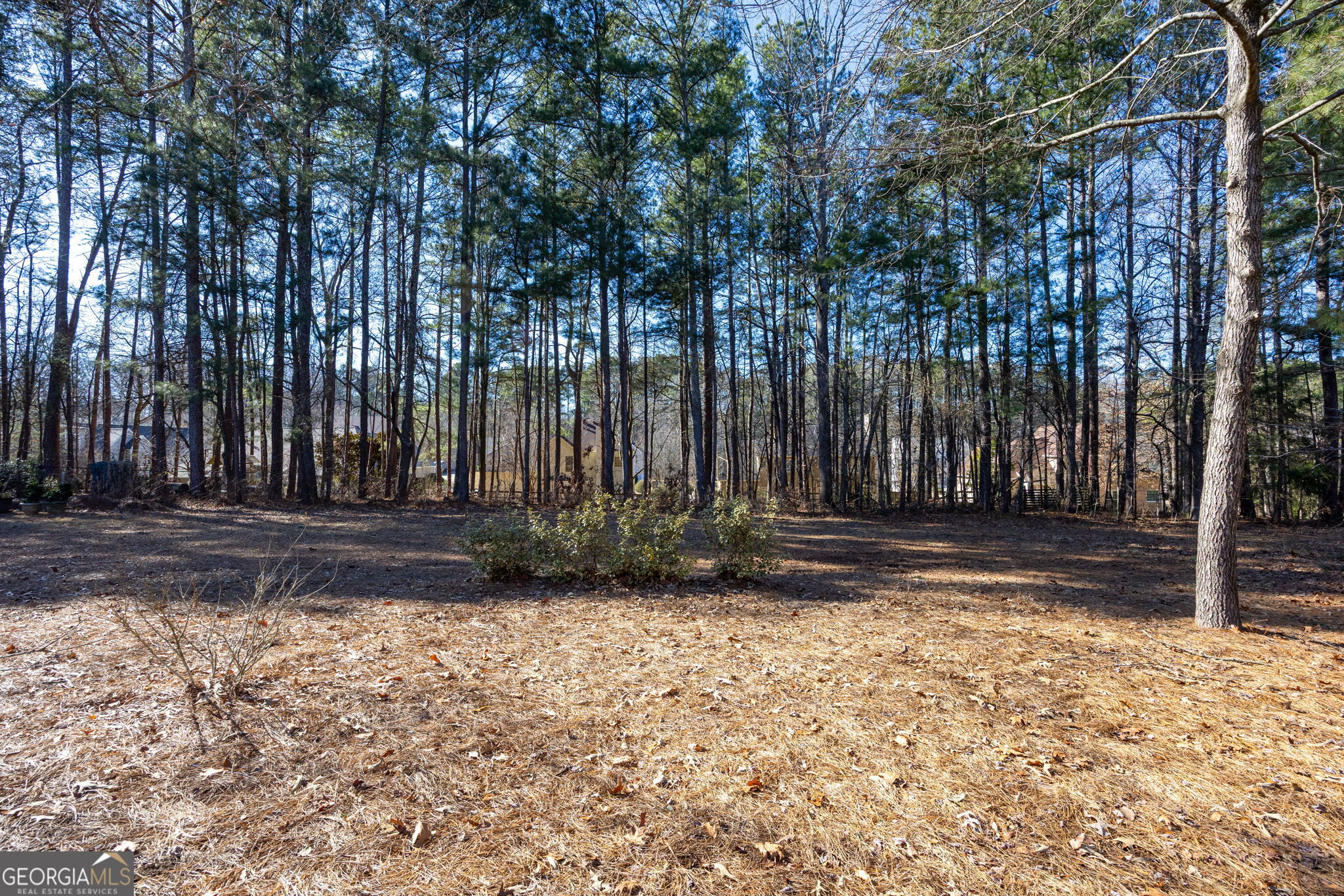 5318 Tallgrass Way NW