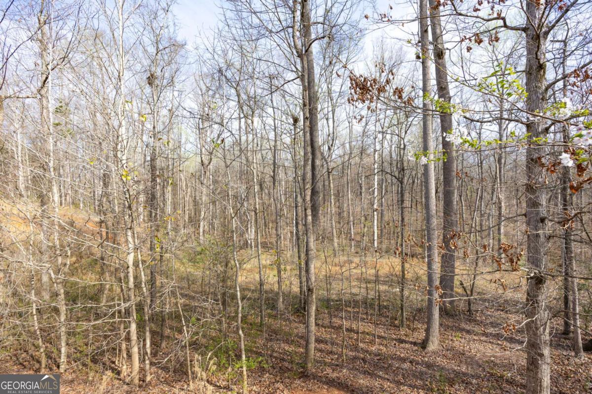 645 Wynnewood Court SW