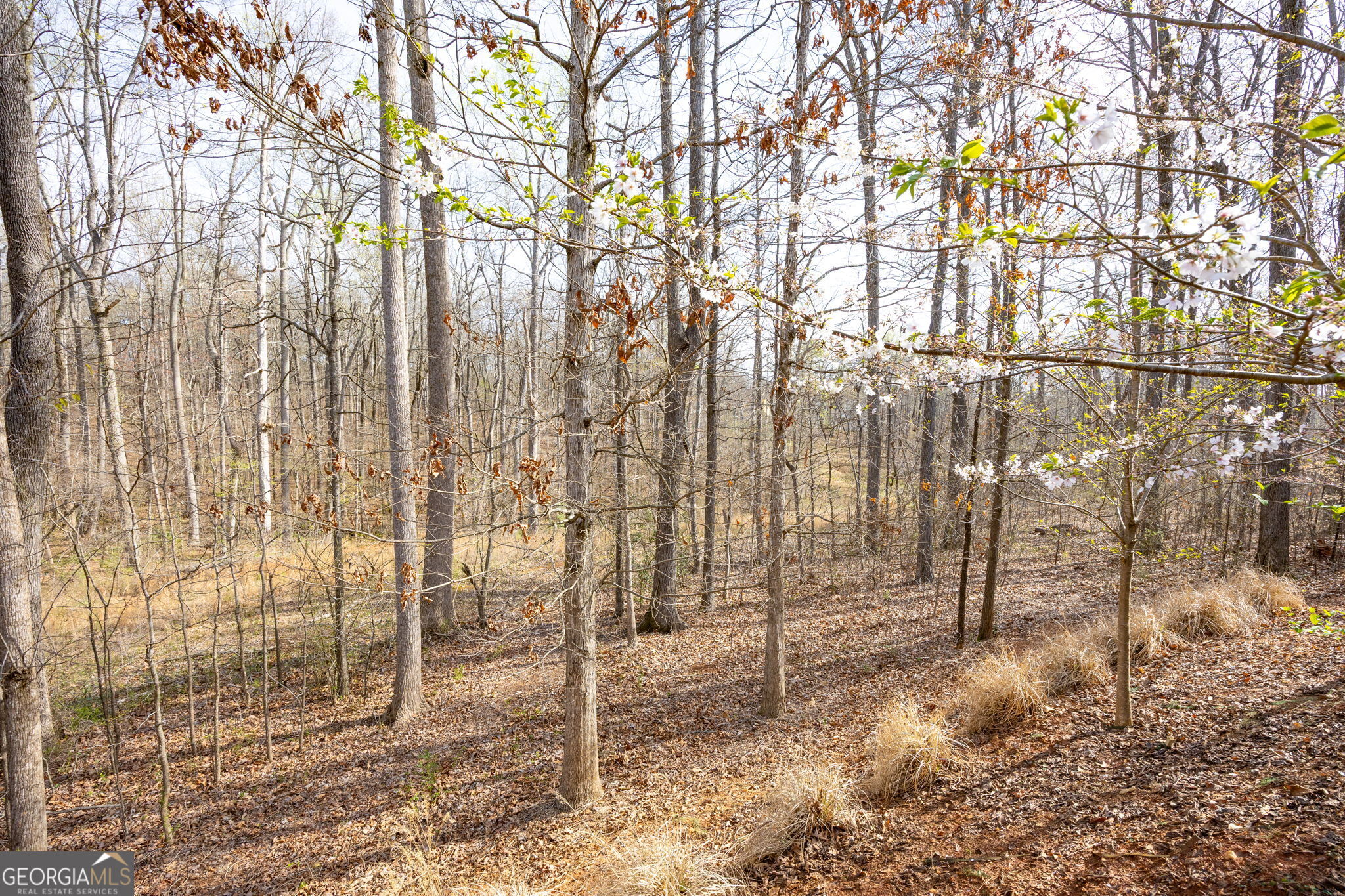 645 Wynnewood Court SW