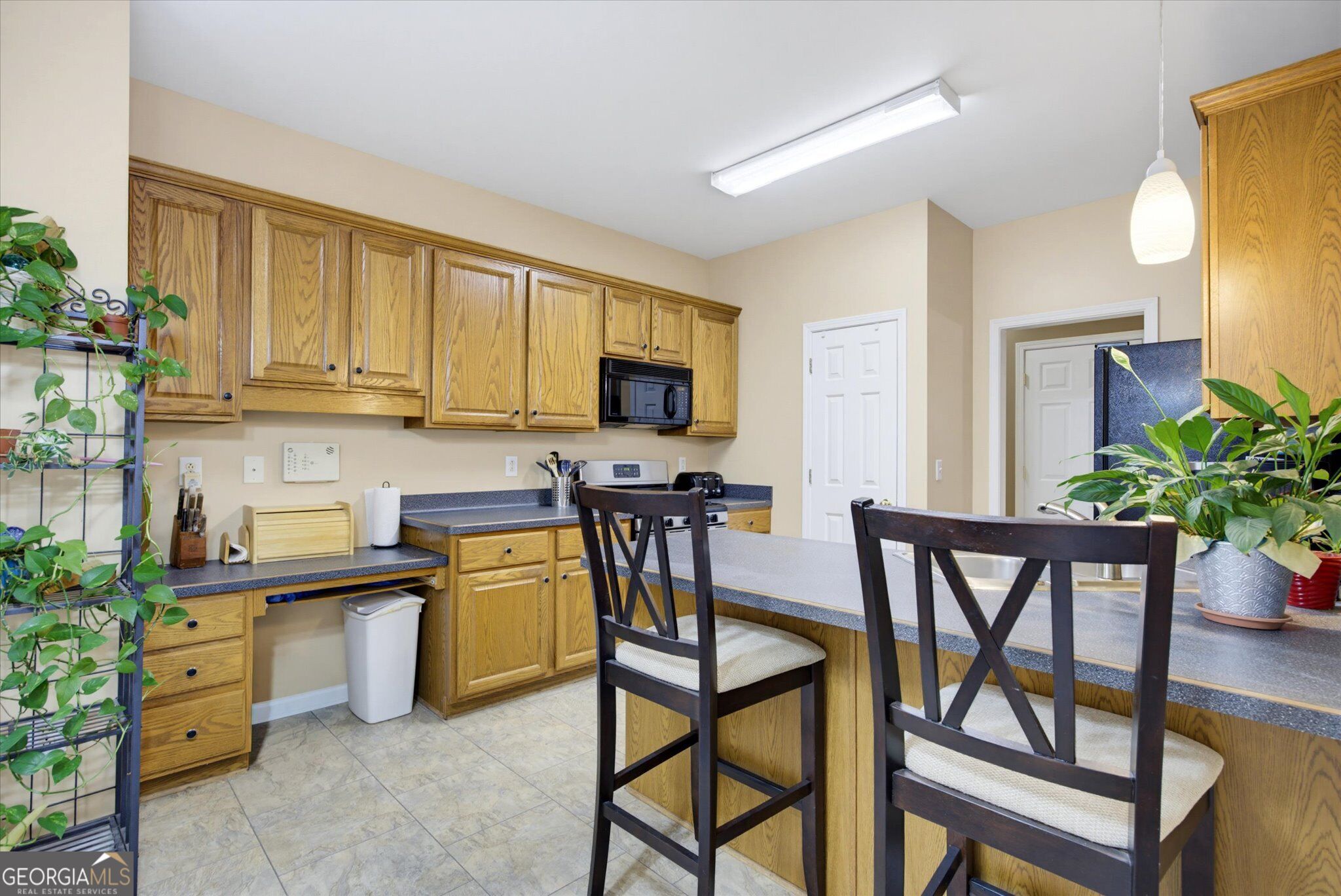 4090 Chestnut Springs Court
