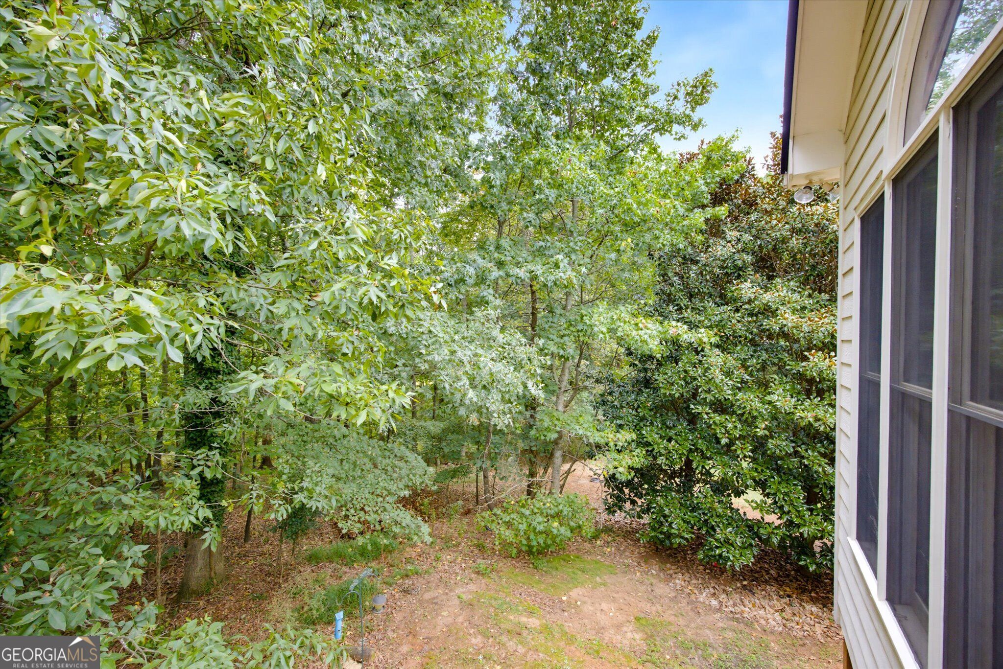 4090 Chestnut Springs Court