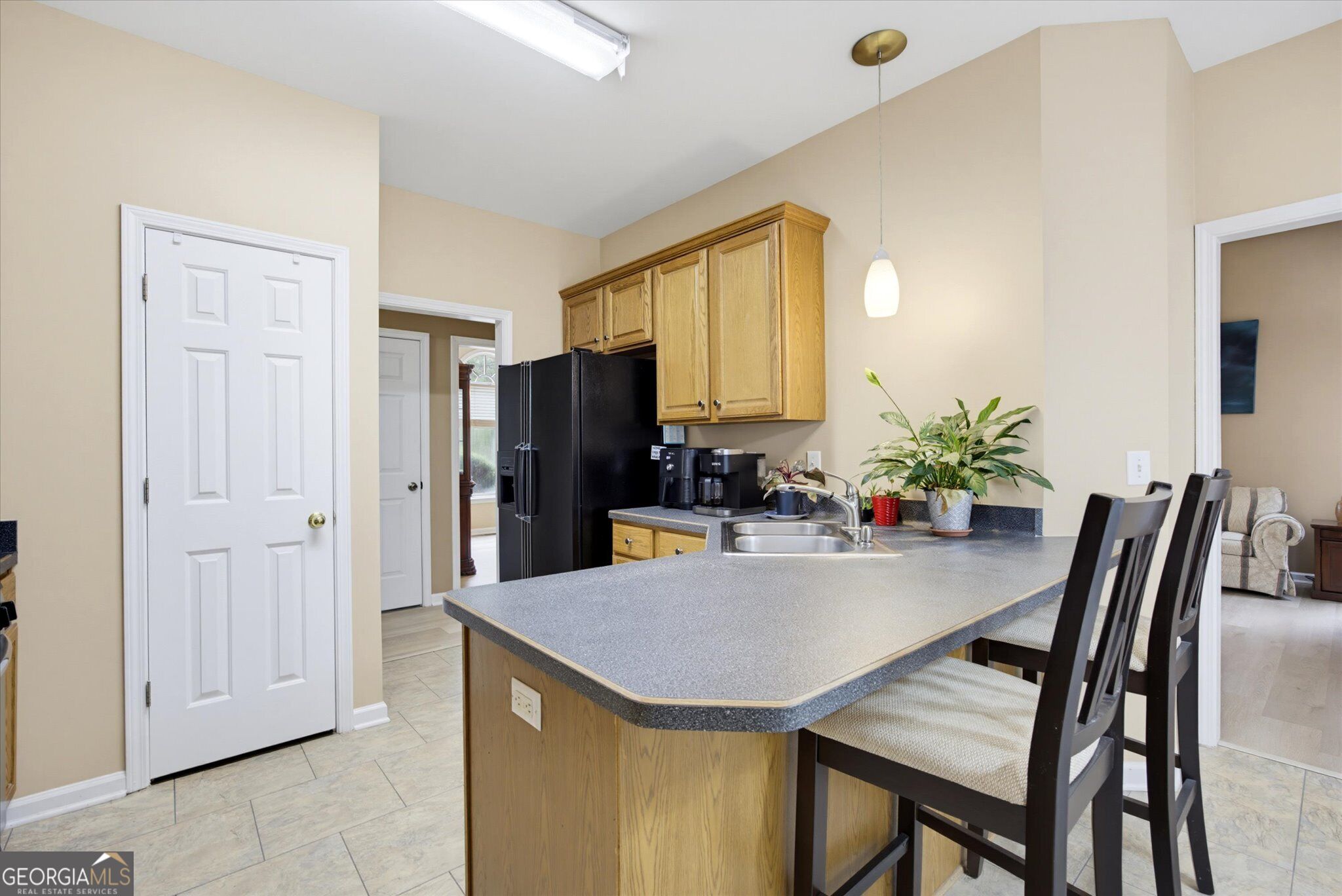 4090 Chestnut Springs Court