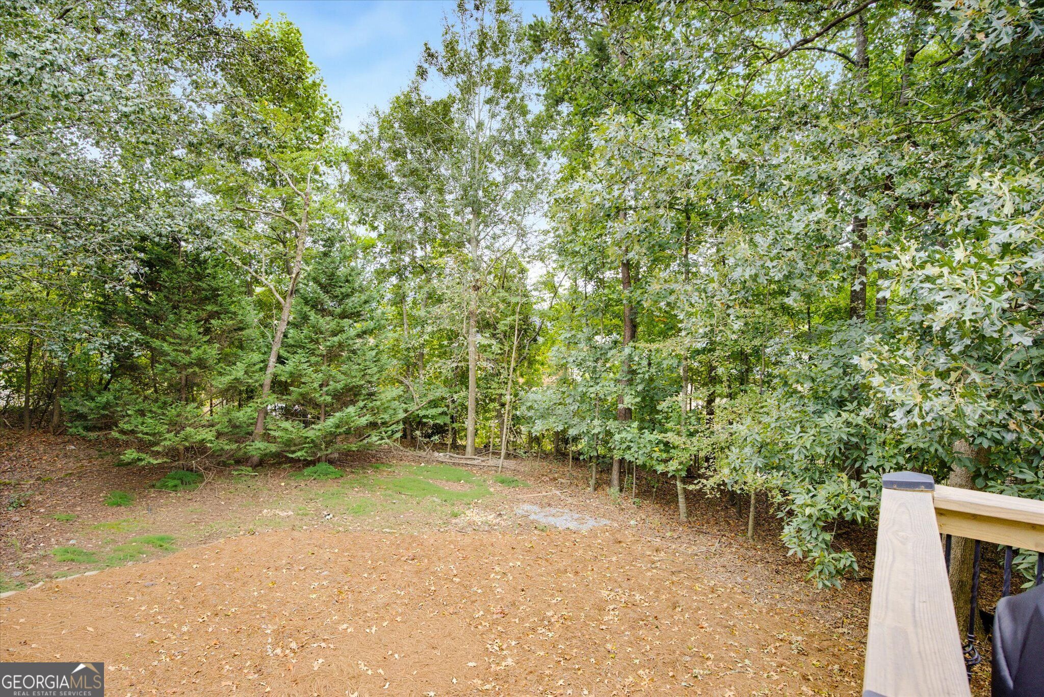 4090 Chestnut Springs Court