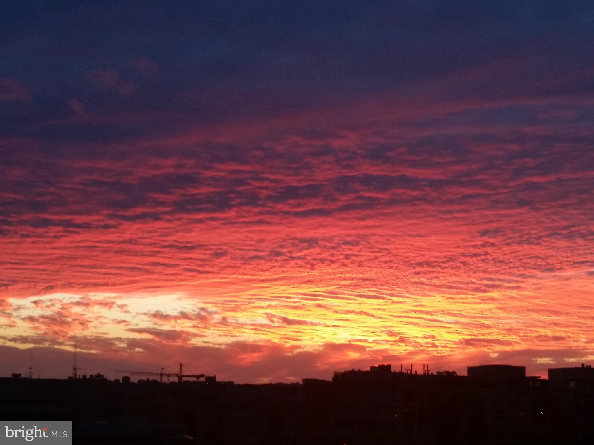 2020 12th St NW #313