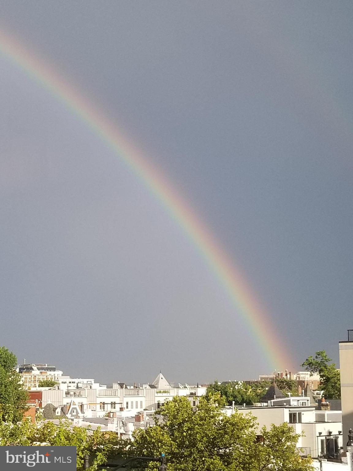 2020 12th St NW #313