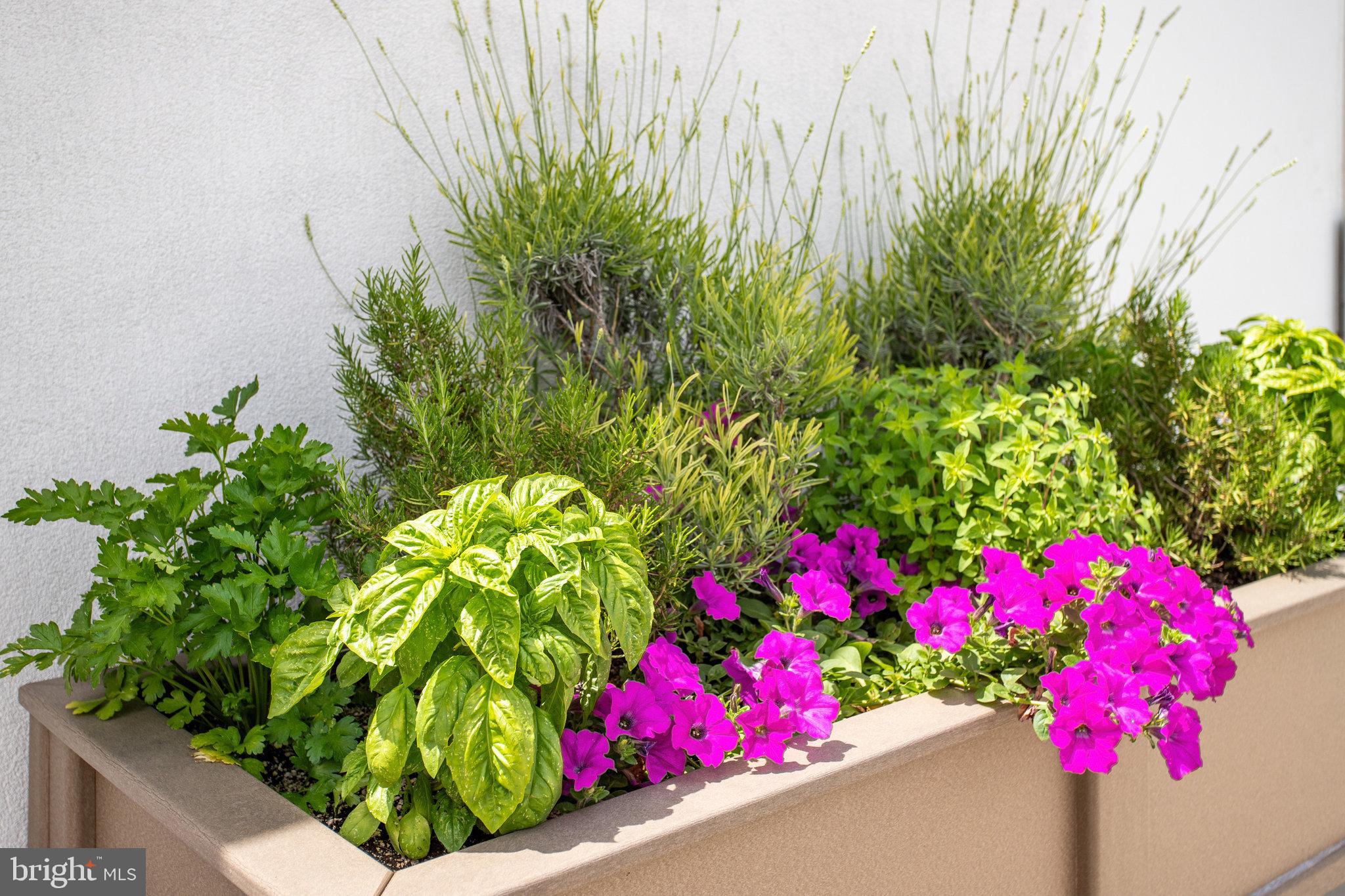 2020 12th St NW #313