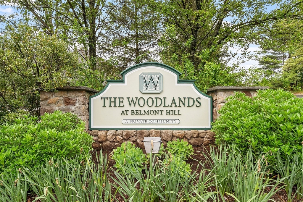 52 Summit Road # 7