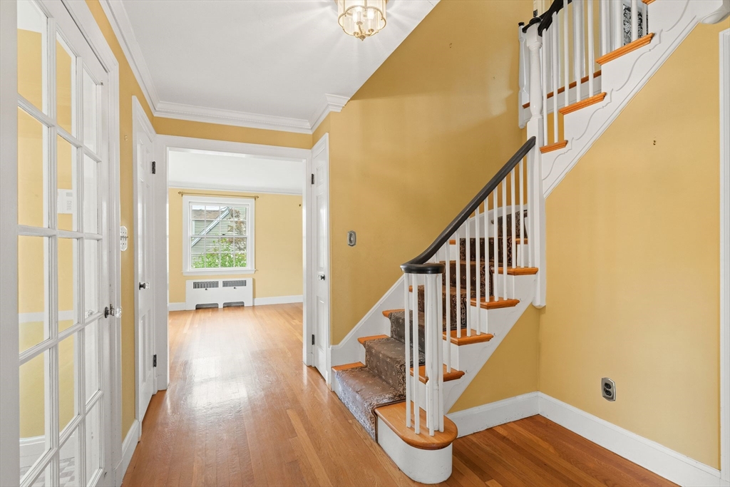 49 Hastings Rd