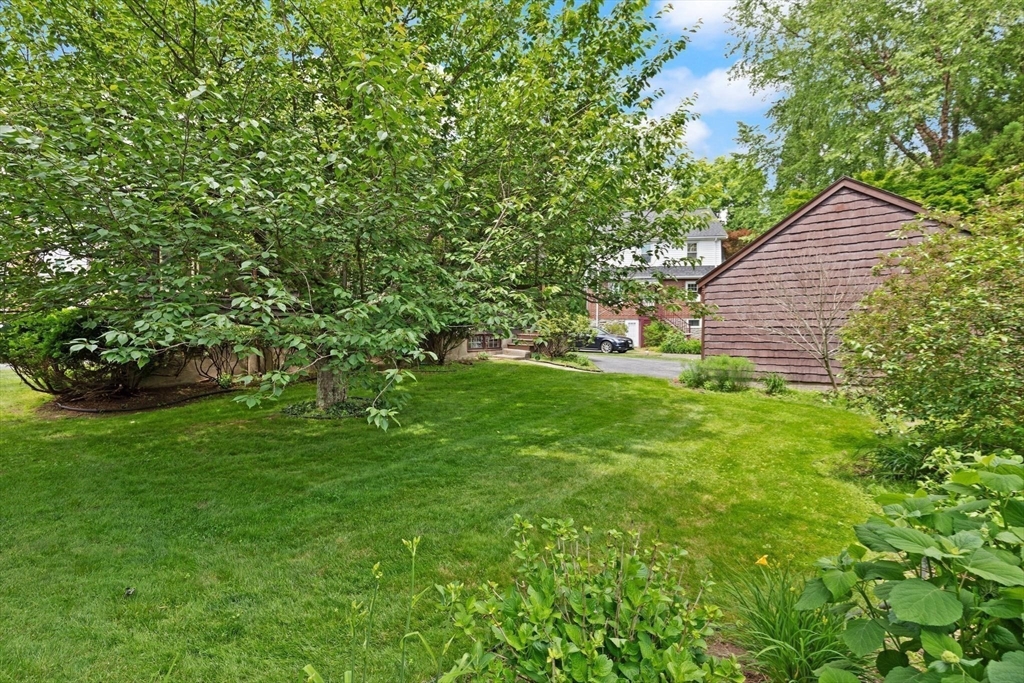 9 Mayfield Rd