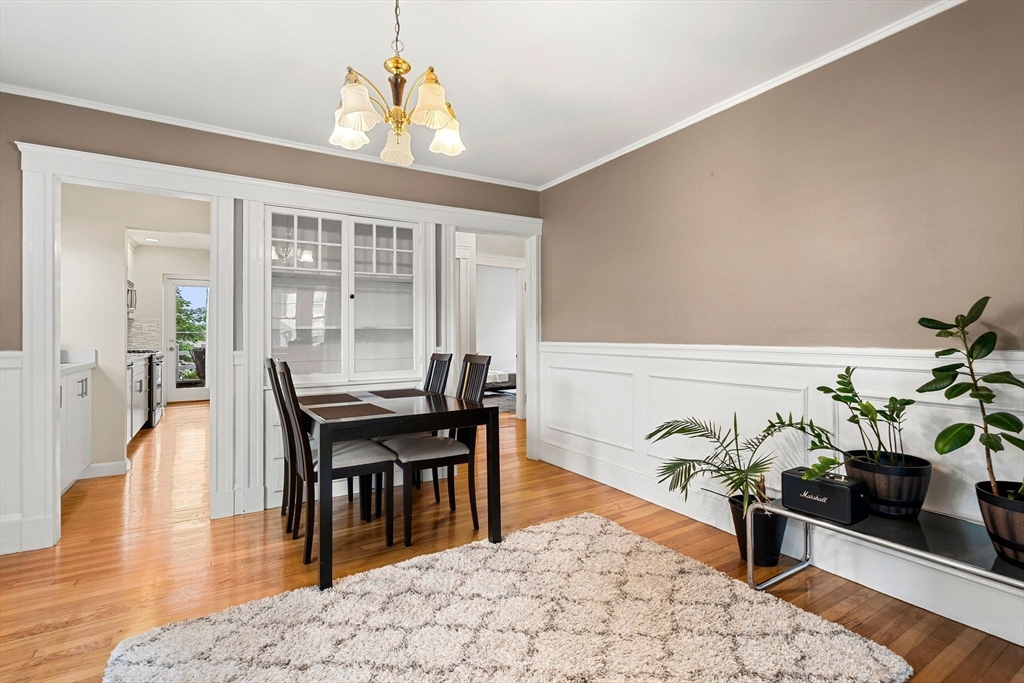 49-51 Harding Avenue