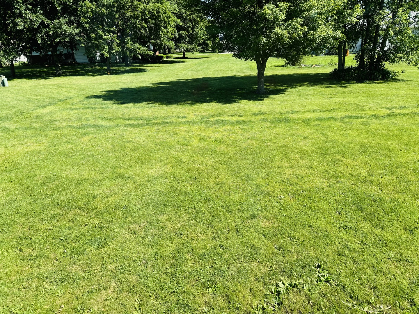 306 Kellerhal Drive