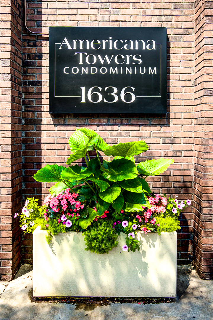 1636 N Wells Street Unit: 2905