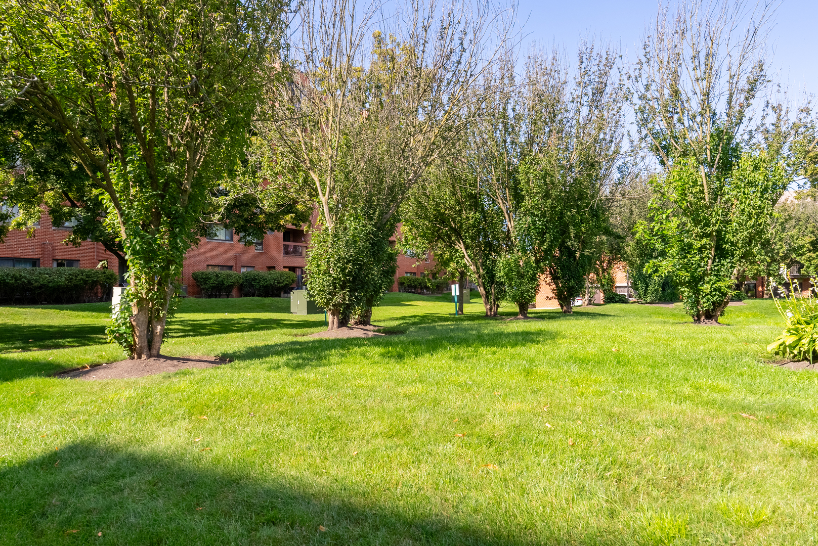 3801 Appian Way Unit: 207