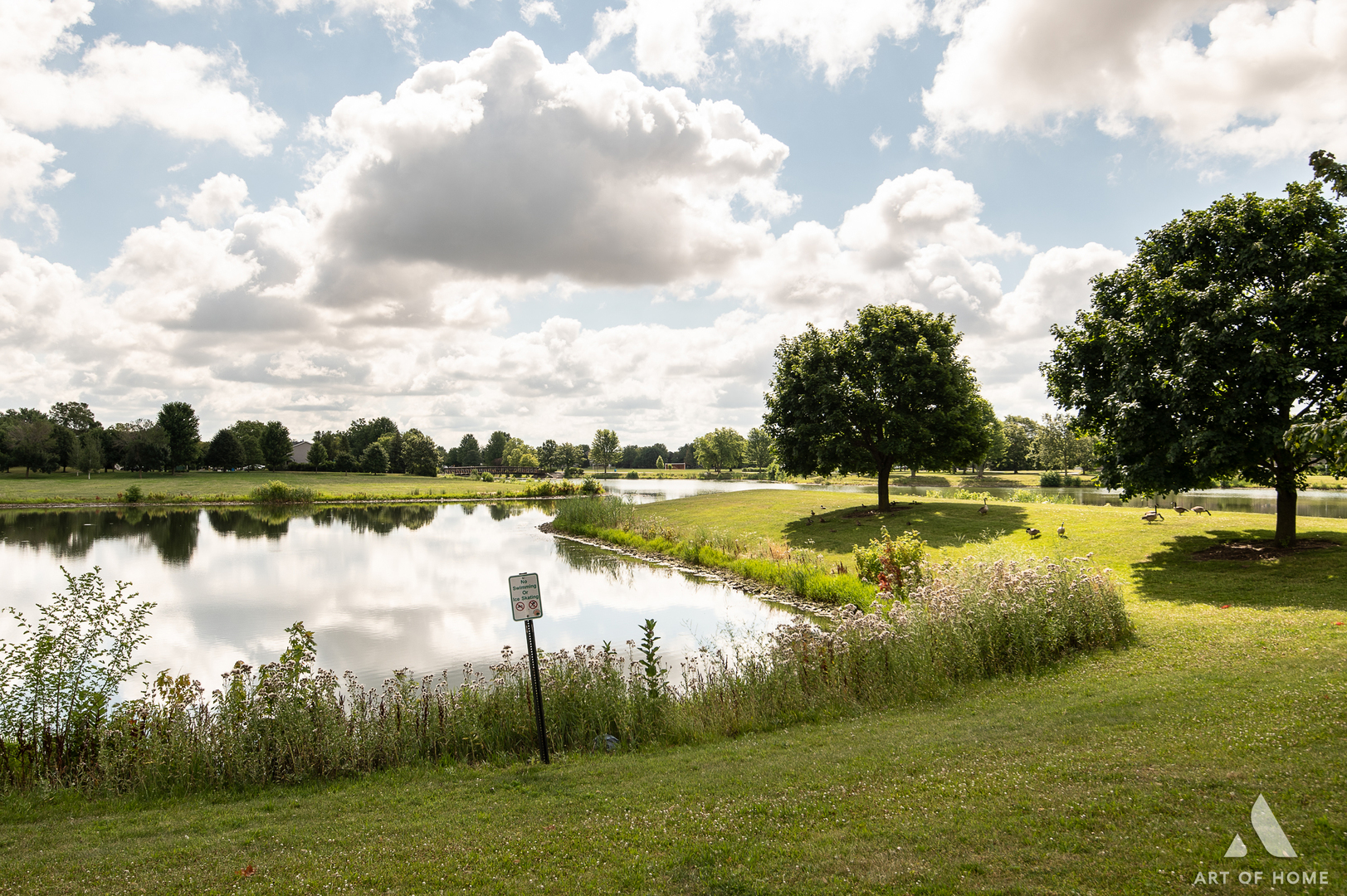 223 Honeysuckle Street