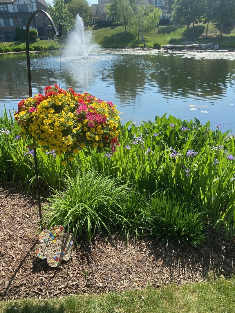 14645 Hollow Tree Road