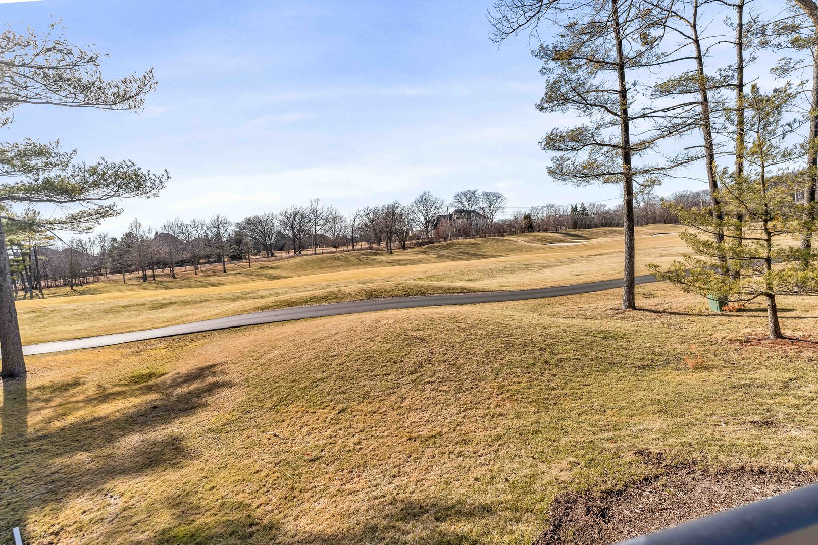 14706 Hollow Tree Road