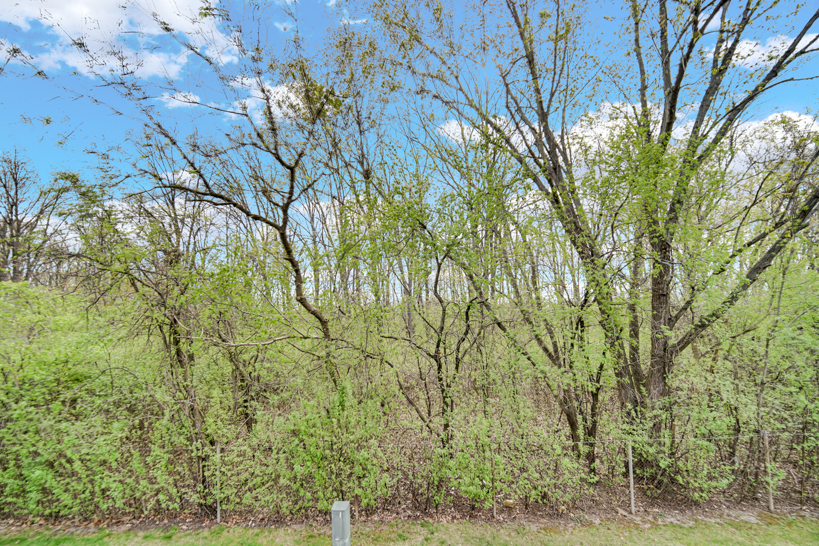 13083 Timber Court