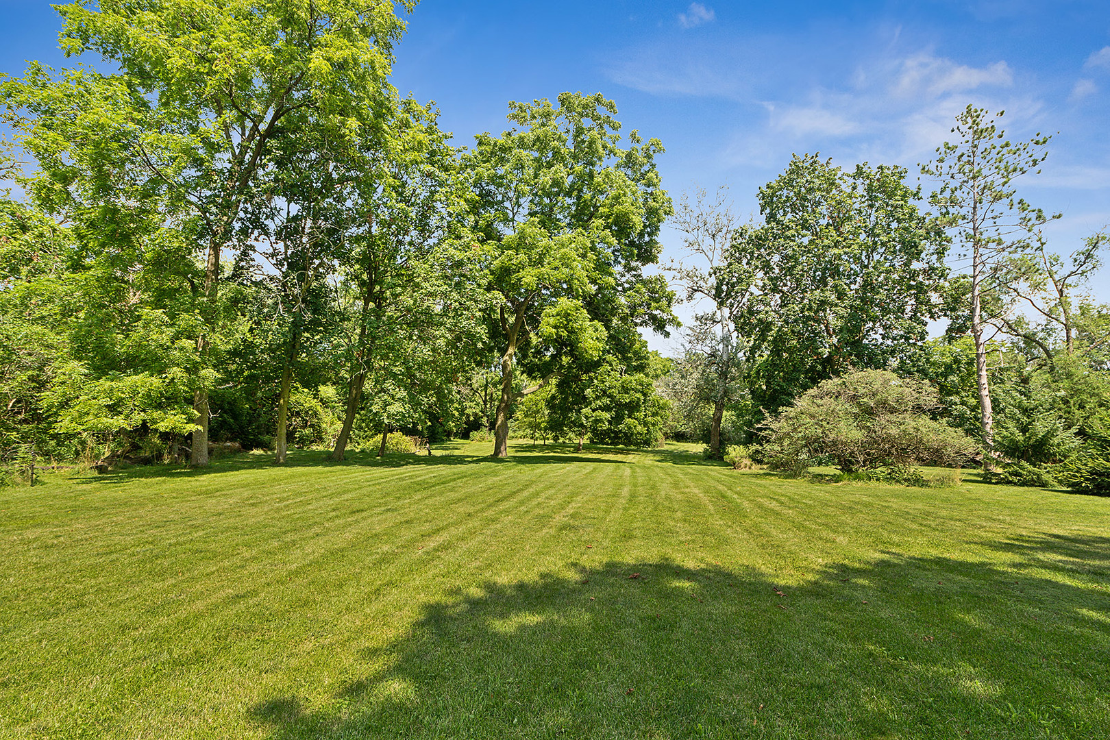 7755 Wolf Road