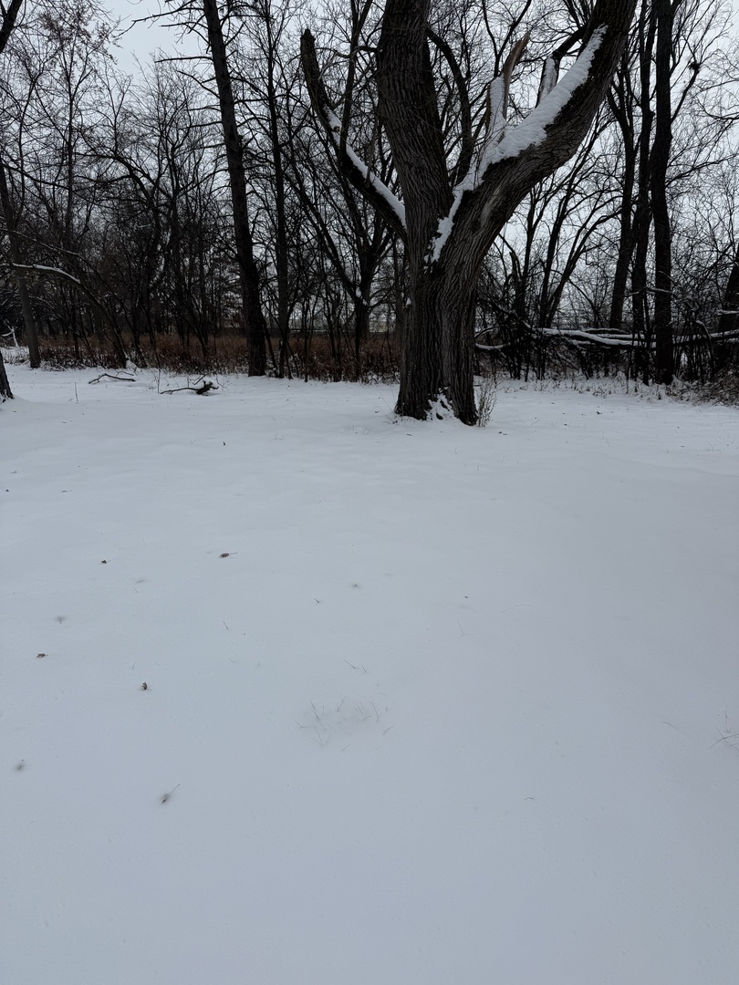 19611 Crawford Avenue