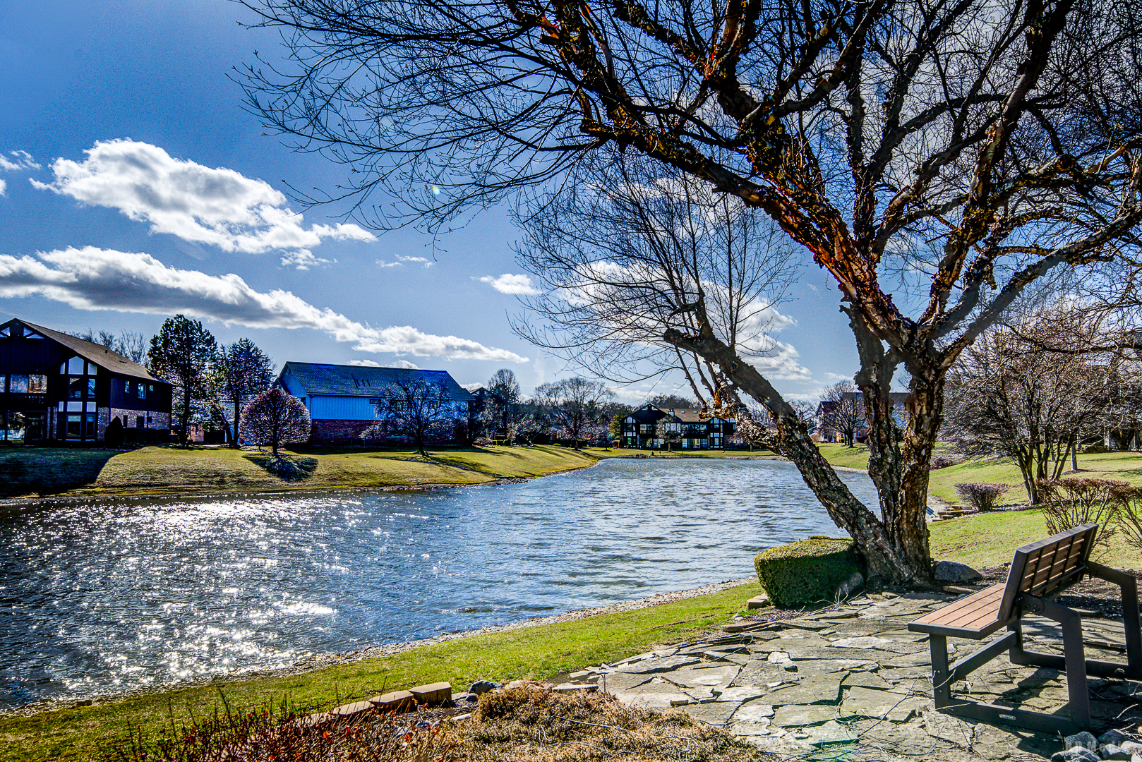 9832 Terrace Court E Unit: 2B