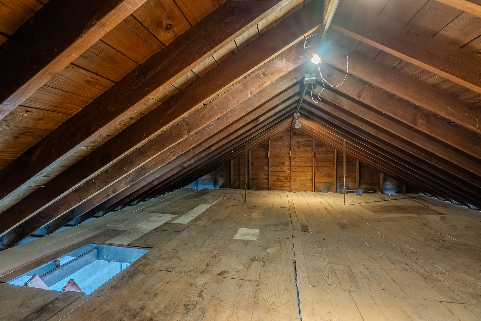 10101 Belmont Avenue