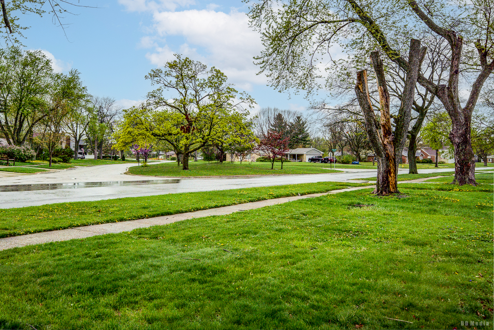 1115 Campbell Avenue