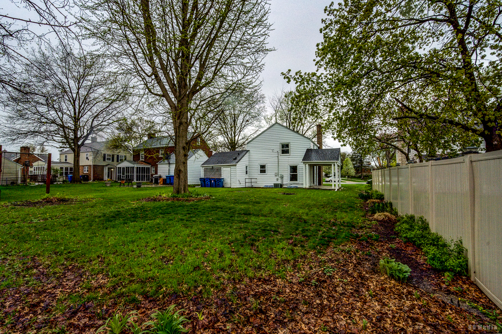 1115 Campbell Avenue