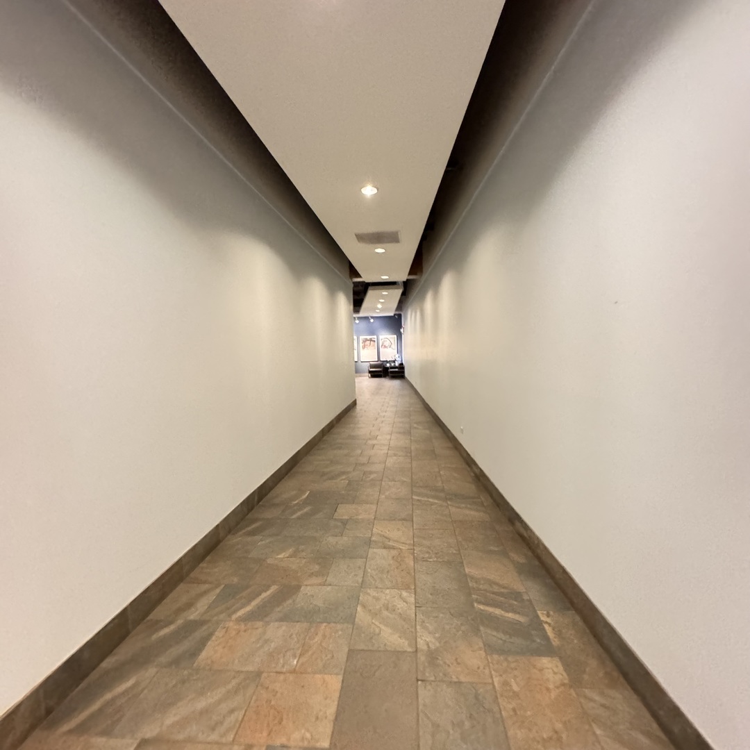 1631 S Michigan Avenue Unit: 402
