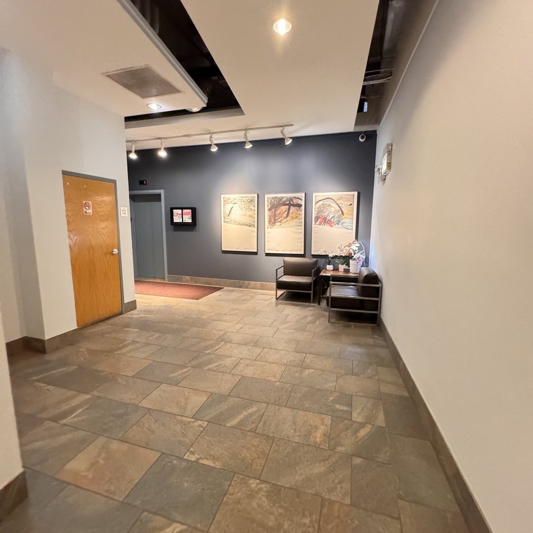 1631 S Michigan Avenue Unit: 402