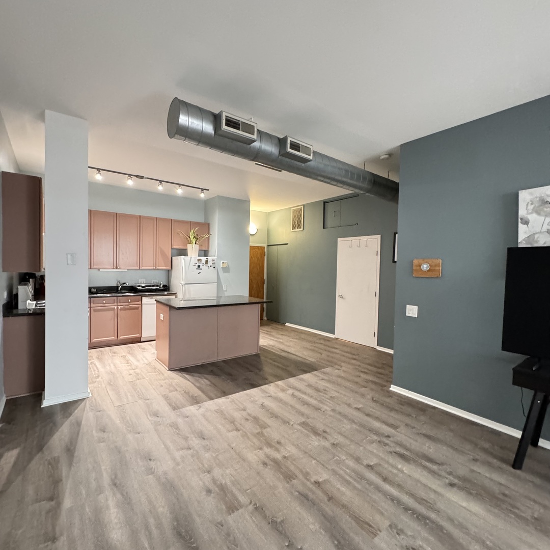 1631 S Michigan Avenue Unit: 402