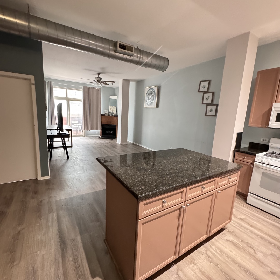 1631 S Michigan Avenue Unit: 402