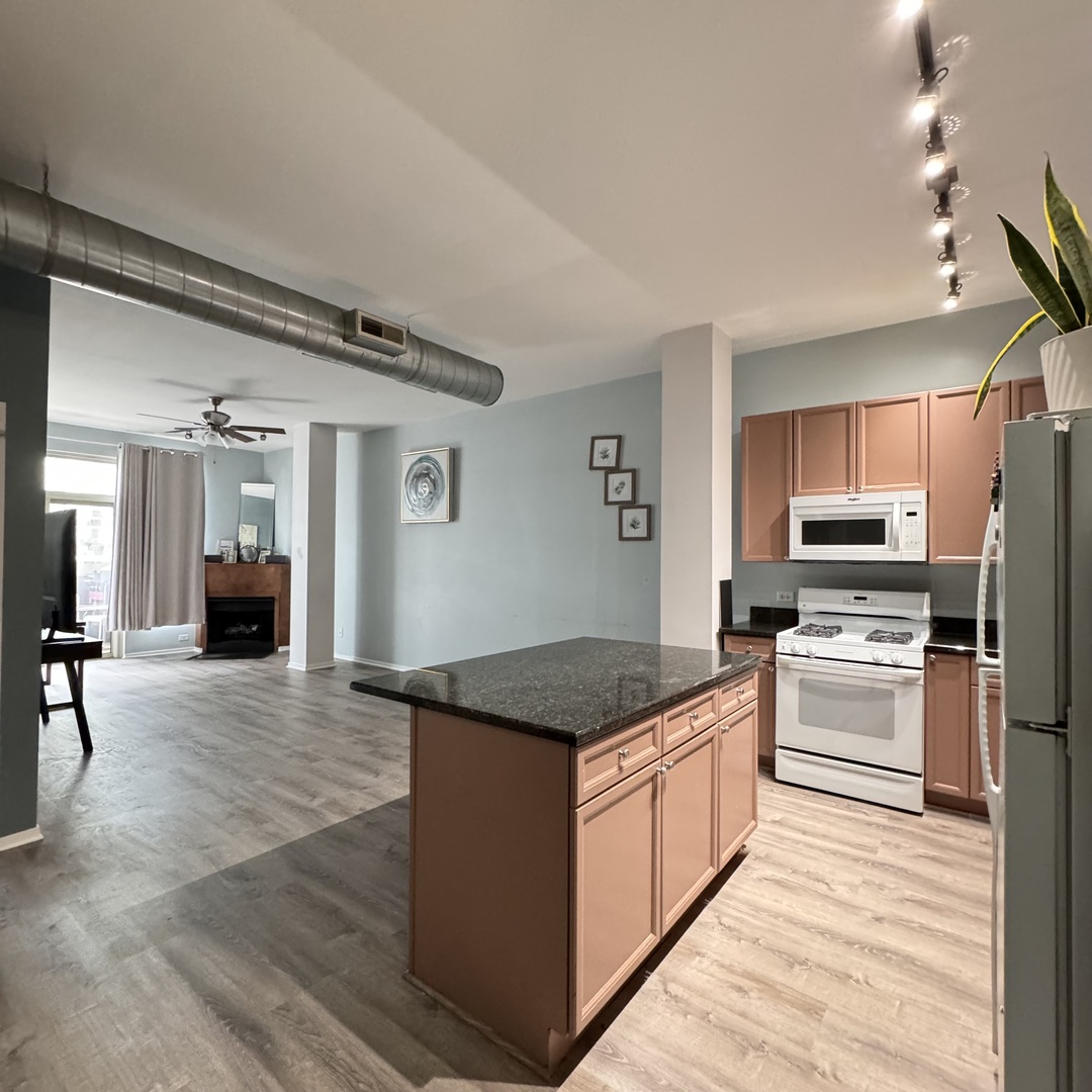 1631 S Michigan Avenue Unit: 402