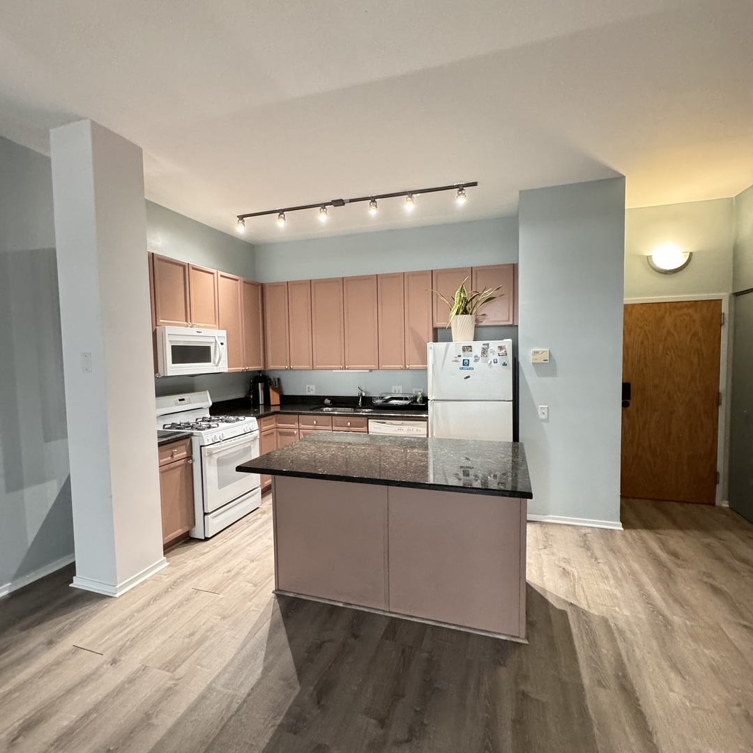 1631 S Michigan Avenue Unit: 402