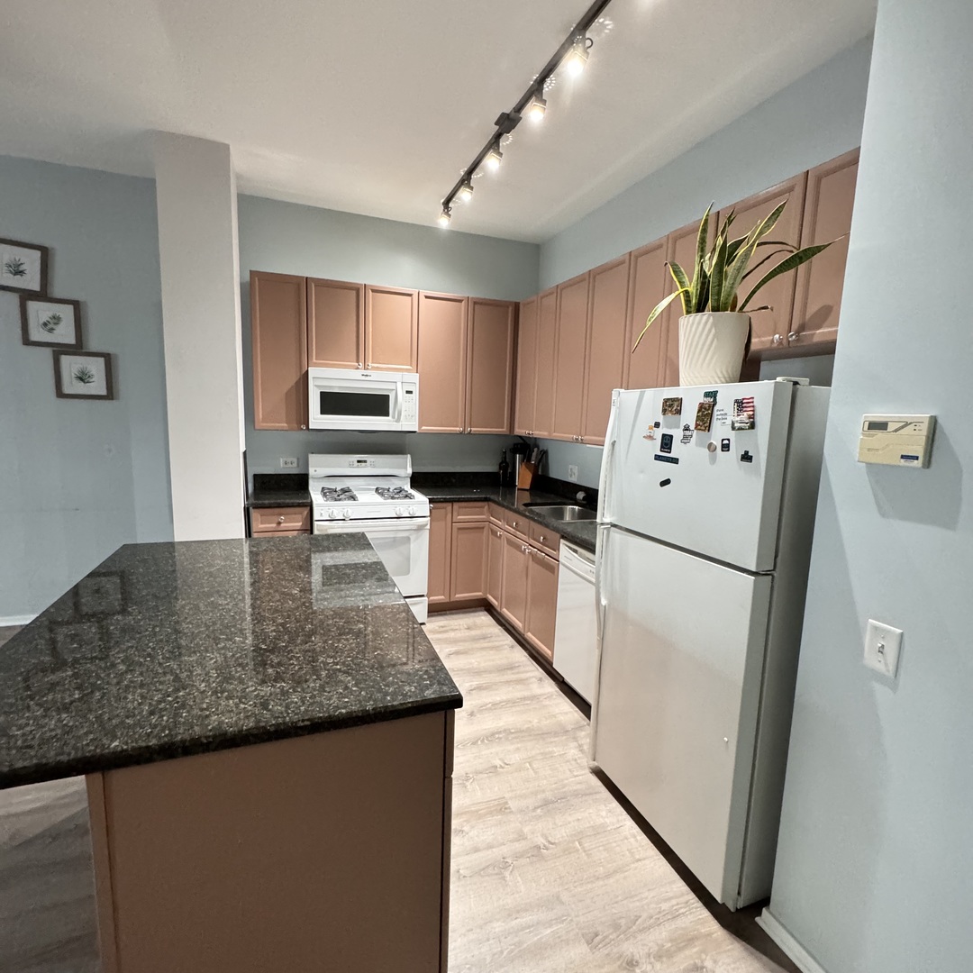 1631 S Michigan Avenue Unit: 402