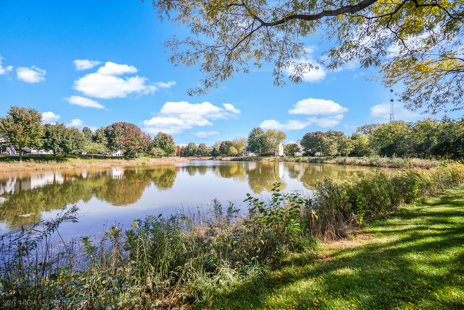 3081 Handley Court