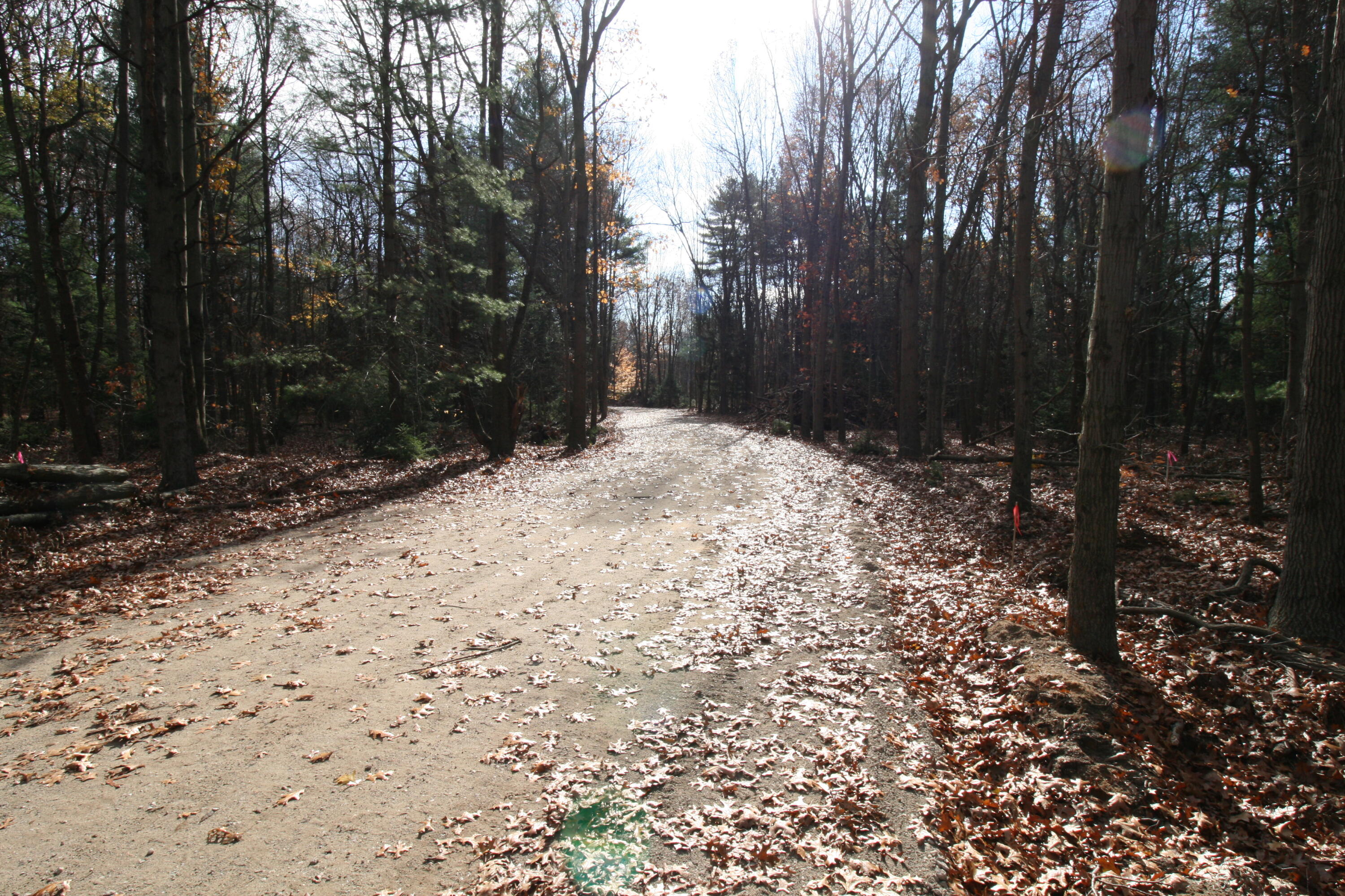 Westwood Trail, 7.2
