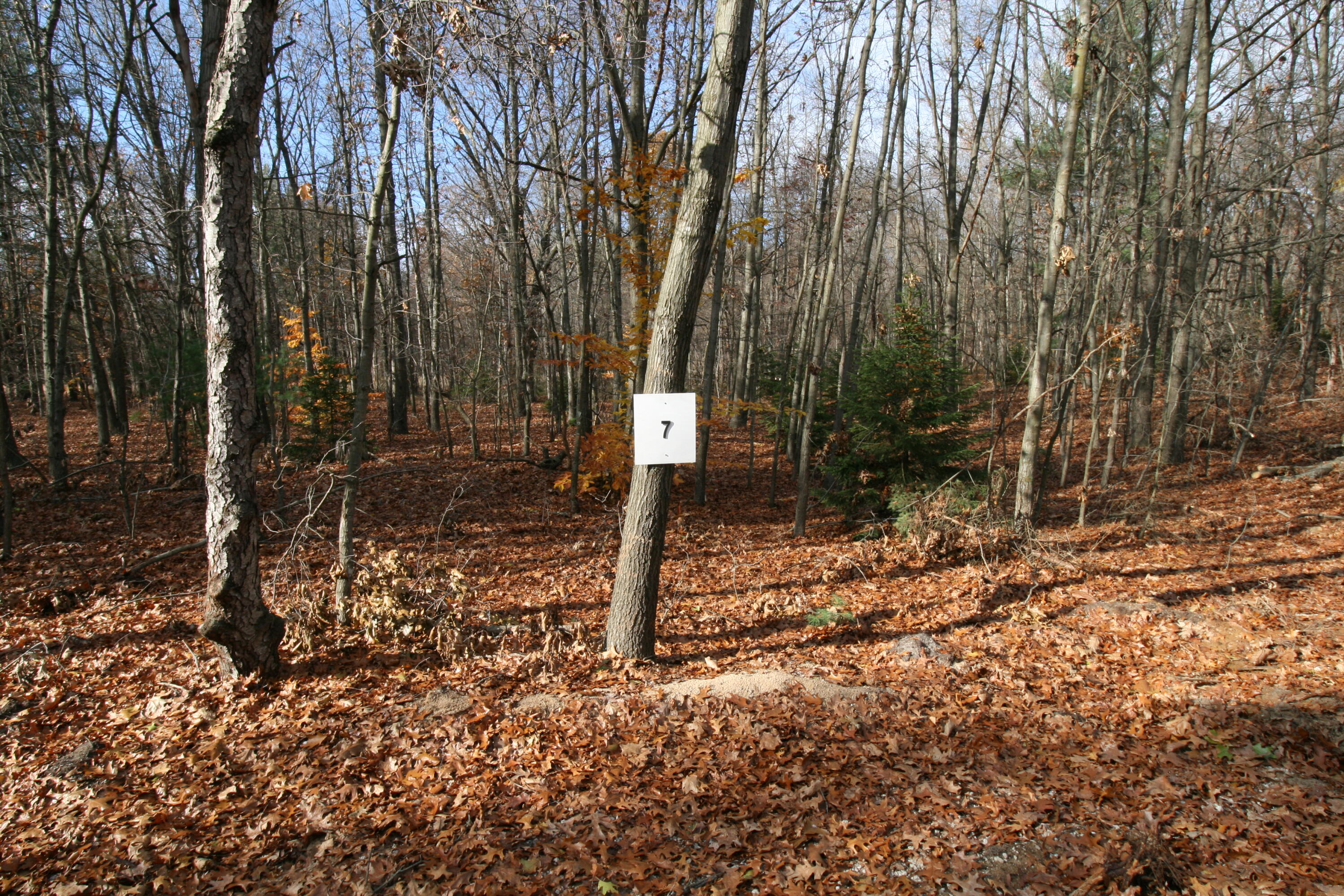 Westwood Trail, 7.2
