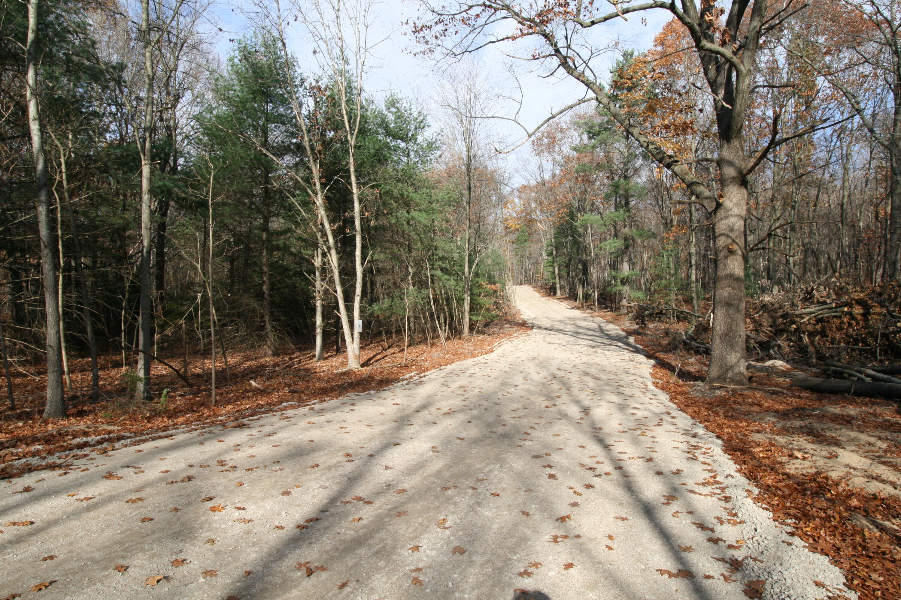 Westwood Trail, 1.2