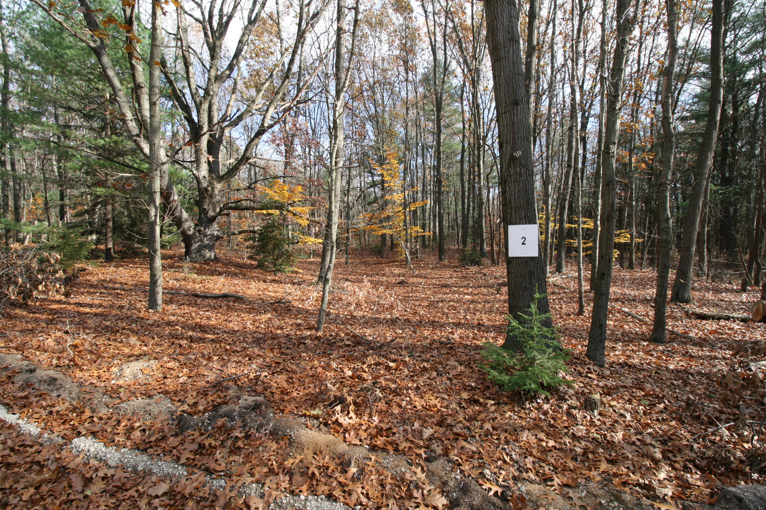 Westwood Trail, 2.2