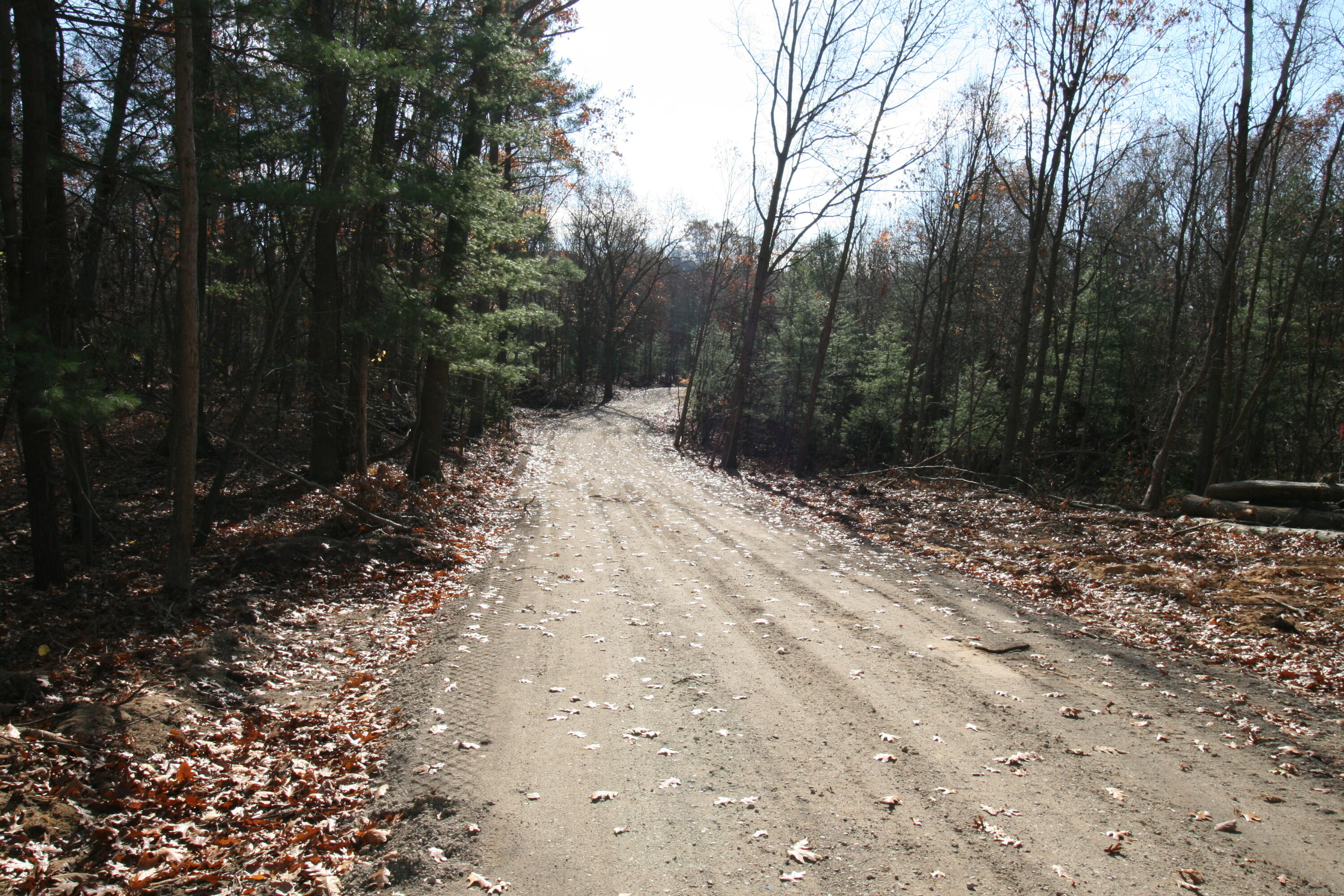 Westwood Trail, 2.2