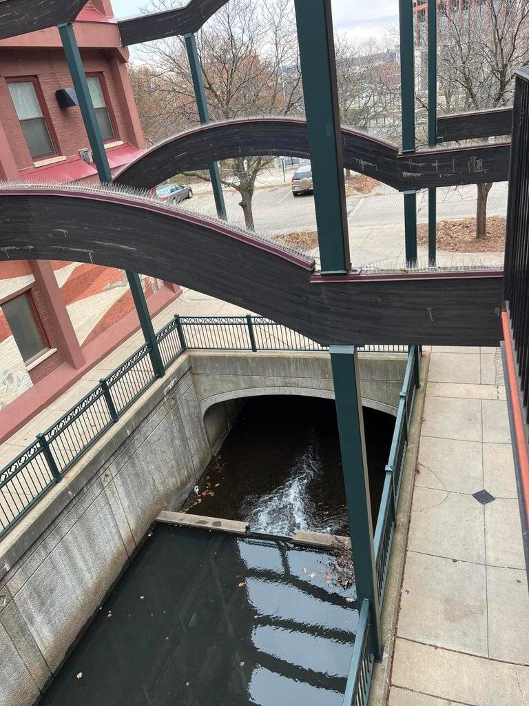 222 N Kalamazoo Mall Unit: 260
