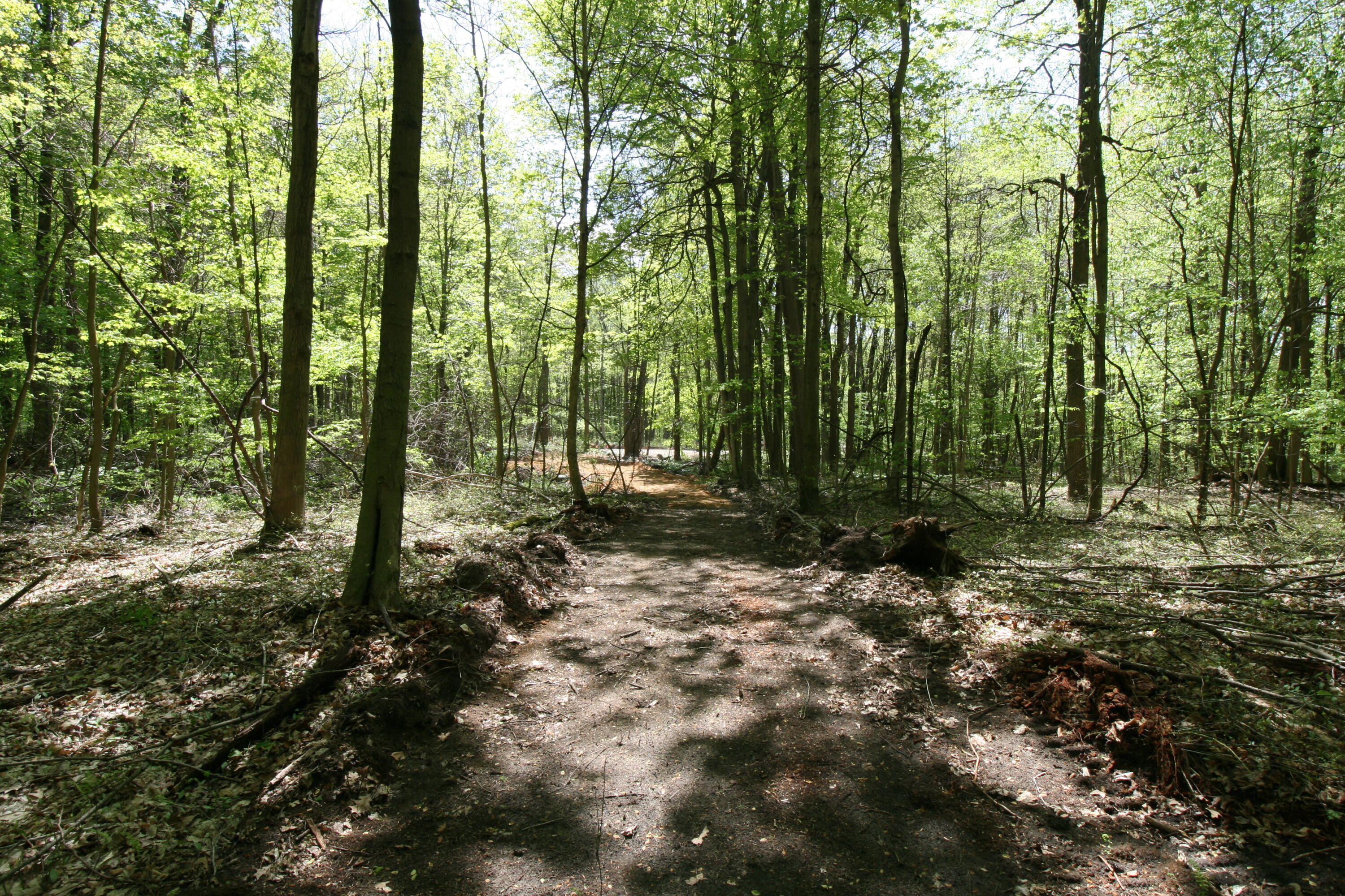 Westwood Trail, 3.2