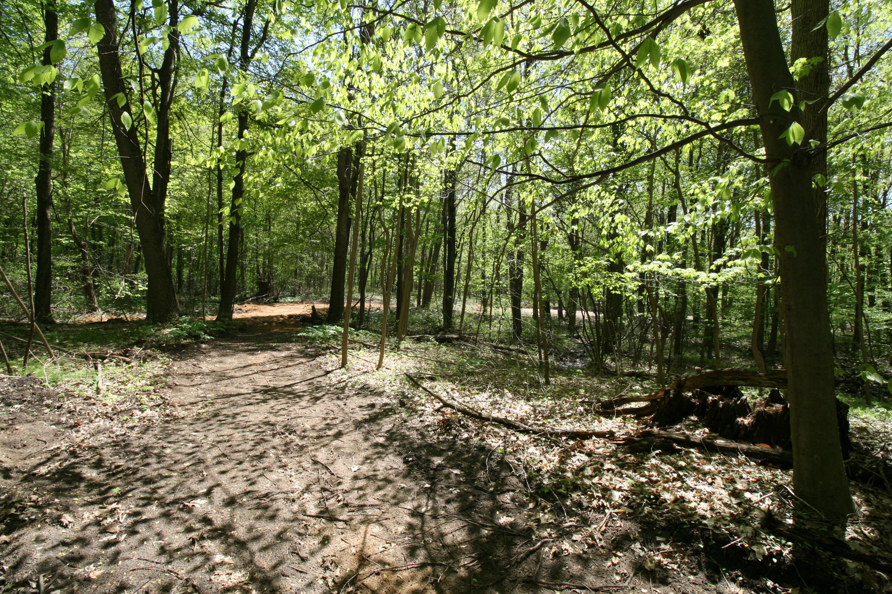 Westwood Trail, 3.2