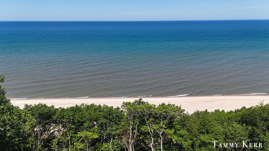 389 Dunegrass Circle Drive