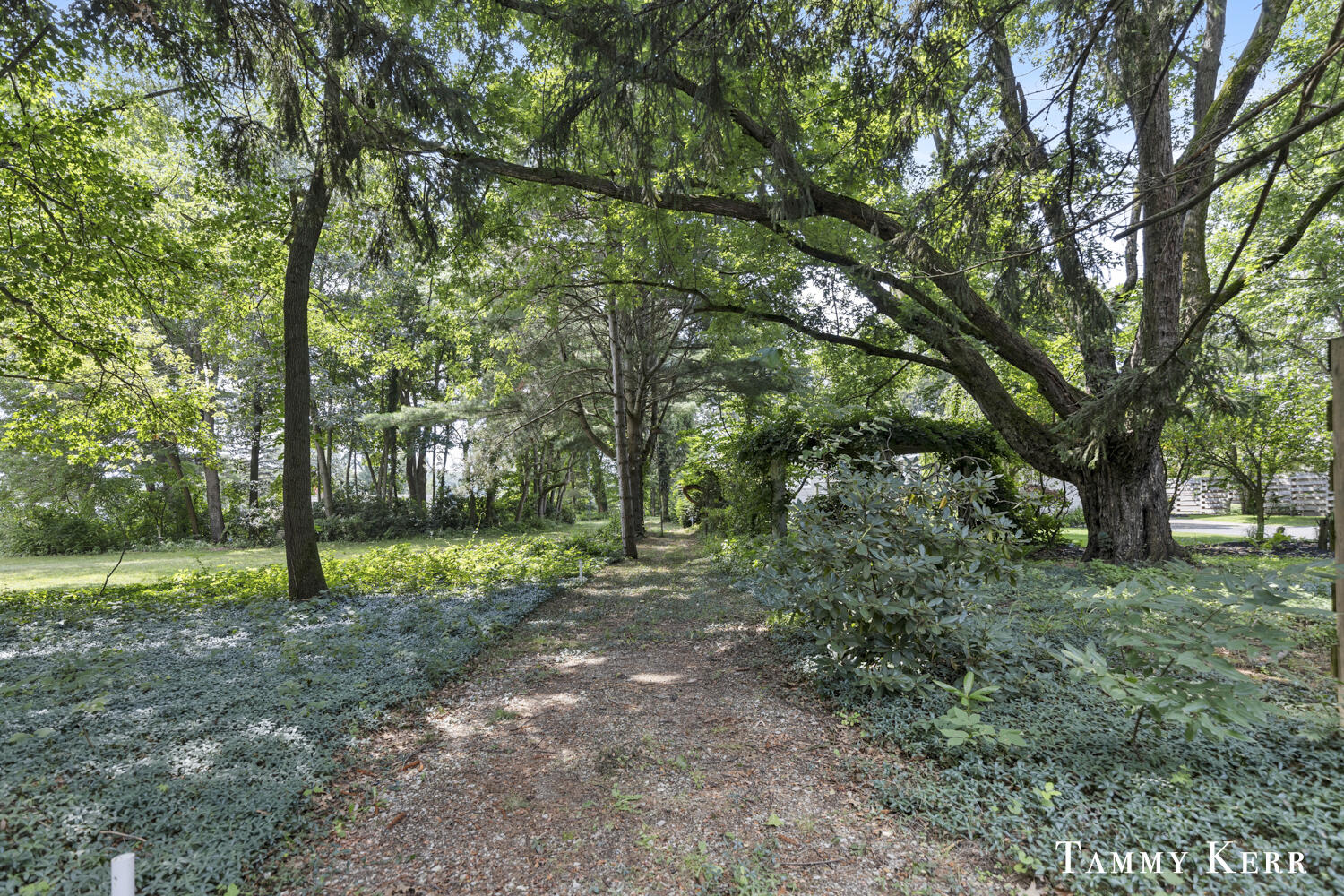 6373 Lake Ridge Drive